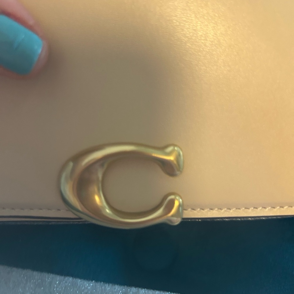 Coach belt bag